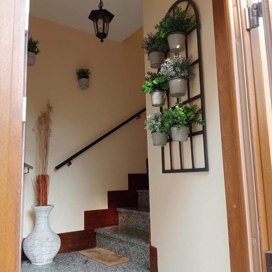 Casa Di Dario Vila Pettenasco Exterior foto